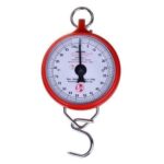weighing scale 100kg hook type hanson